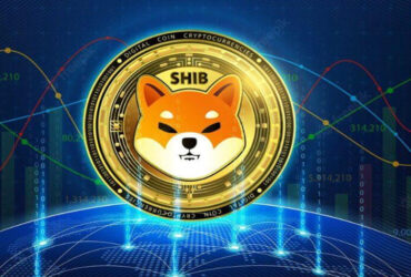 A Small $100 Shiba Inu Investment in 2020 Becomes a $35,255,683 Portfolio Today