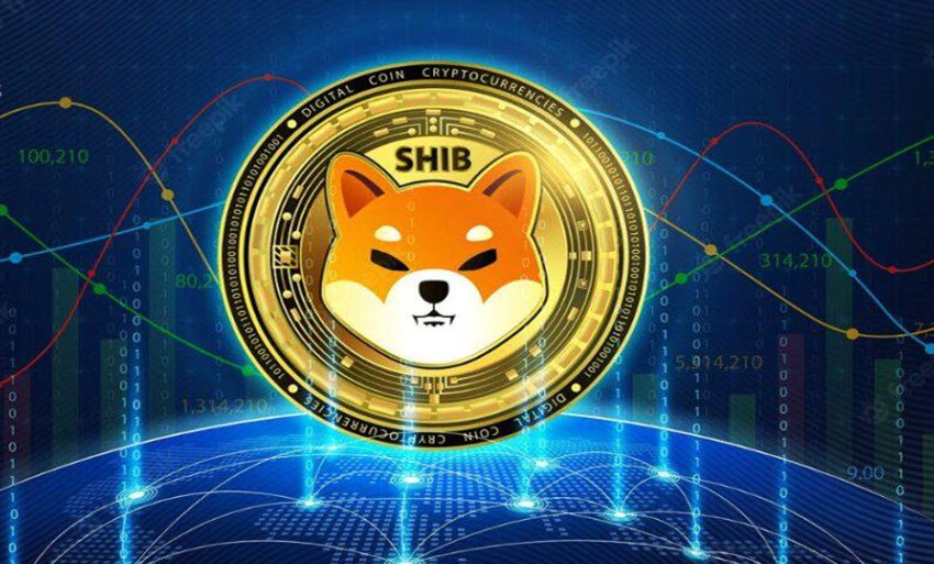 A Small $100 Shiba Inu Investment in 2020 Becomes a $35,255,683 Portfolio Today